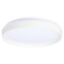 Стельовий LED світильник TEXAS LED/15W/230V білий