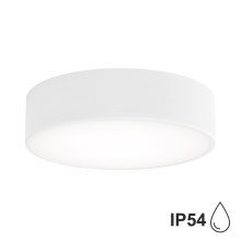 Стельовий світильник для ванної кімнати CLEO 2xE27/24W/230V діаметр 30 см білий IP54