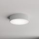 Стельовий світильник для ванної кімнати CLEO 2xE27/24W/230V діаметр 30 см сірий IP54