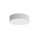 Стельовий світильник для ванної кімнати CLEO 2xE27/24W/230V діаметр 30 см сірий IP54
