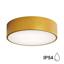 Стельовий світильник для ванної кімнати CLEO 2xE27/24W/230V діаметр 30 см золотий IP54