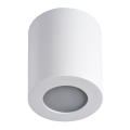 Стельовий світильник для ванної кімнати SANI 1xGU10/10W/230V IP44 білий