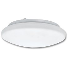 Стельовий світильник для ванної кімнати VICTOR 2xE27/60W/230V IP44