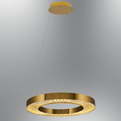 Светильник LED на тросе JESI LED/35W/230V 3000K Ø 60 см бронзовый