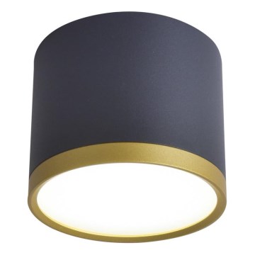 Светильник LED точечный TUBA LED/9W/230V черный/золотой