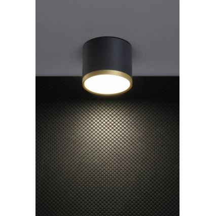 Светильник LED точечный TUBA LED/9W/230V черный/золотой