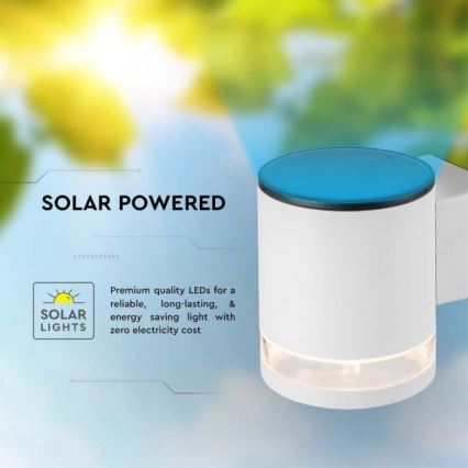 Светодиодный уличный настенный светильник на солнечной батарее LED/1Вт/3,7В 3000К IP54 1200 мАч белый