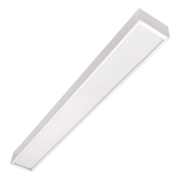 Светильник настенный CYNIDECO LED/12W/230V 4000K белый