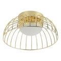Светильник потолочный BETSY LED/12W/230V диаметром 25 см золотой