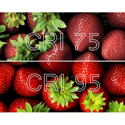 Светодиодная бактерицидная лампочка с регулированием яркости B40 E14/4,9W/230V Wi-Fi - Ledvance