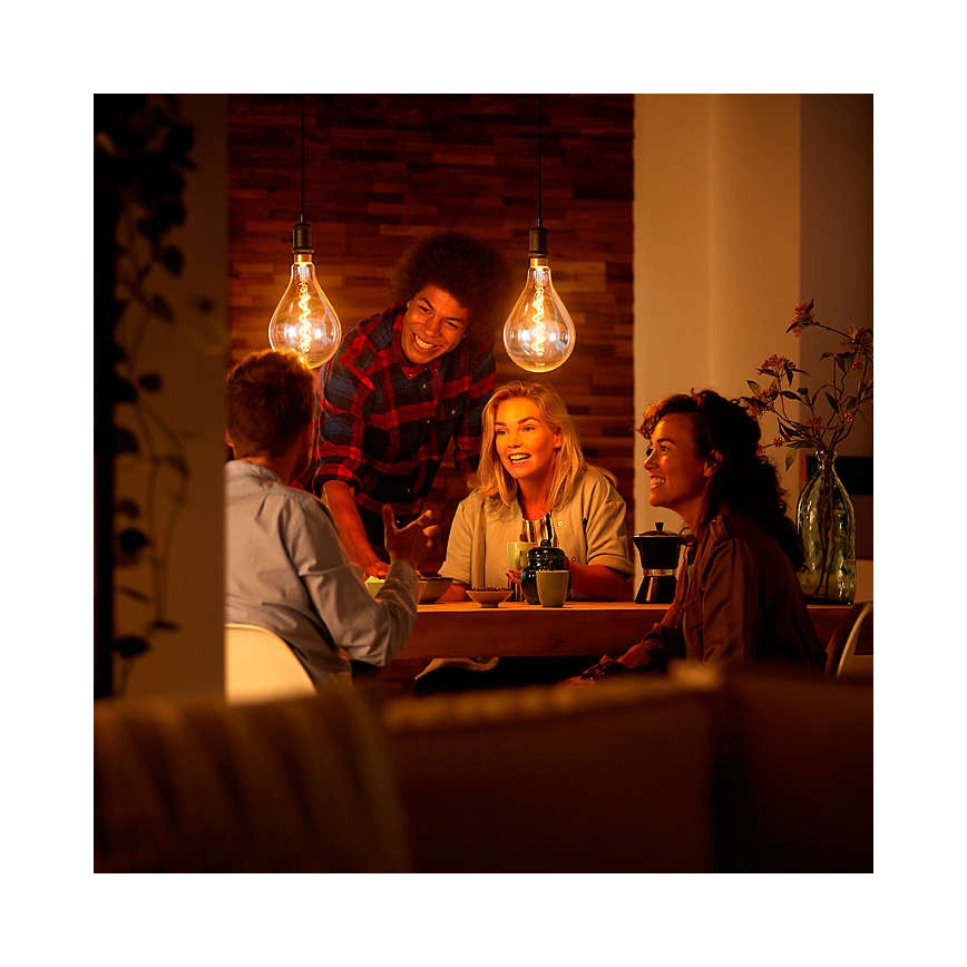 Светодиодная декоративная диммируемая лампочка VINTAGE DYI E27/4W/230V - Leuchten Direkt 0846