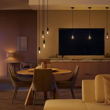 Светодиодная диммируемая лампочка Philips Hue WHITE AMBIANCE ST72 E27/7W/230V 2200-4500K