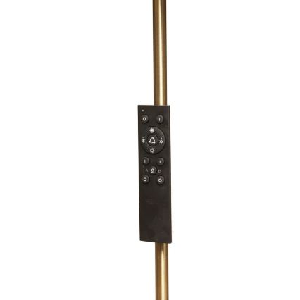 Диммируемый LED торшер NORA LED/25W/230V 2200/3000/4000K + LED/5W 3000K, золотой, с дистанционным управлением