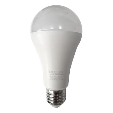 Светодиодная лампа A65 E27/18W/230V 4200K