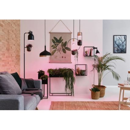 Светодиодная лампа для выращивания растений GROW GREEN R50 E14/4W/230V - Paulmann 28734