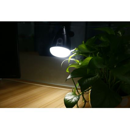 Светодиодная лампа KLIP с USB-зарядкой LED/5W/5V 4000K