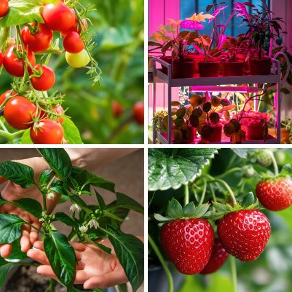 Светодиодная гибкая настольная лампа с регулированием яркости и зажимом для выращивания растений VITARO 4xLED/10W/230V черный