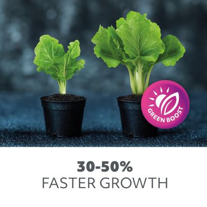 Светодиодная лампочка для выращивания растений PLANTY E27/9W/230V 1200K черный