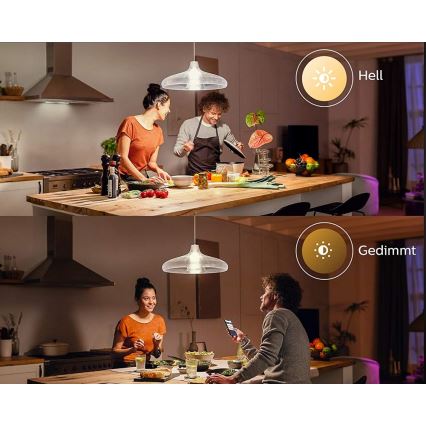 Светодиодная лампочка Philips Hue WHITE E67 E27/15,5W/230V 2700К