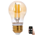 Светодиодная лампочка с регулированием яркости FILAMENT MESH Smart G45 E27/4,5W/230V 2700-6500K - Aigostar