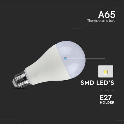Светодиодная лампочка SAMSUNG CHIP A65 E27/15W/230V 6500K