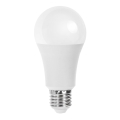 Светодиодная лампочка A60 E27/21W/230V 6500K - Aigostar