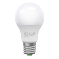 Светодиодная лампочка ECOLINE A60 E27/10W/230V 6,500K - Brilagi