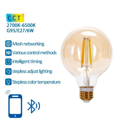 Светодиодная лампочка с регулированием яркости FILAMENT MESH Smart G95 E27/6W/230V 2700-6500K - Aigostar