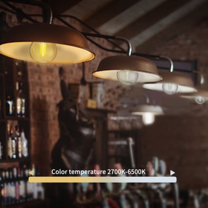 Светодиодная лампочка с регулированием яркости FILAMENT G45 E27/4,5W/230V 2700-6500K Wi-Fi - Aigostar