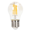 Светодиодная лампочка с регулированием яркости FILAMENT G45 E27/4W/230V 2200K - Aigostar