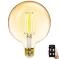 Светодиодная лампочка с регулированием яркости FILAMENT MESH Smart G125 E27/6W/230V 2700-6500K - Aigostar