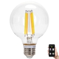 Светодиодная лампочка с регулированием яркости FILAMENT MESH Smart G80 E27/6W/230V 2700-6500K - Aigostar