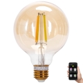 Светодиодная лампочка с регулированием яркости FILAMENT MESH Smart G95 E27/6W/230V 2700-6500K - Aigostar