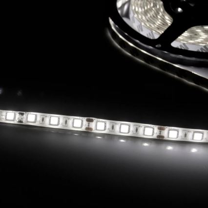 Светодиодная лента 5 м 28W/12V IP20 6500K