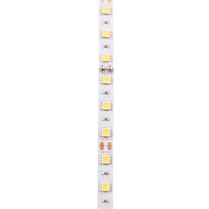 Светодиодная лента 5 м LED/10W/12V IP20 белый