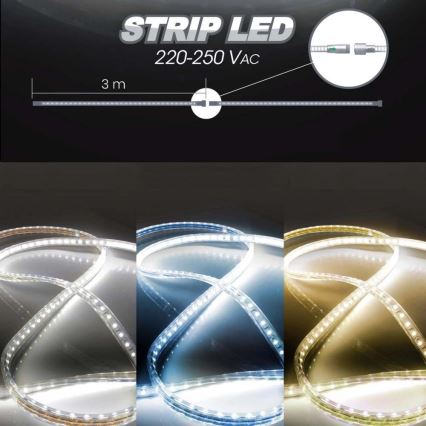 Светодиодная лента EASY CONNECT LED/14,4W/230V 3 м IP67 синий