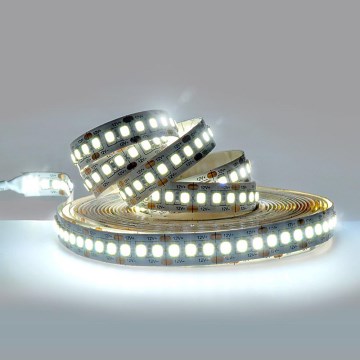Светодиодная лента LED/80W/12V 5 м холодный белый