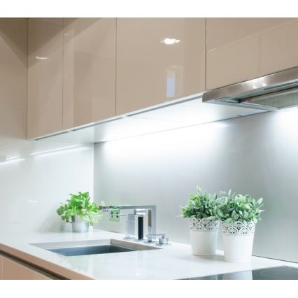 Светодиодная лента TRAMO LED/500W/12V 50m 6500K