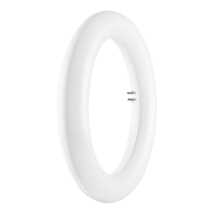 Светодиодная люминесцентная лампа SUBSTITUBE T9 G10q/12W/230V 4000K диаметр 20,5 см  - Osram