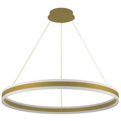 Светодиодная регулируемая люстра на тросе LED/110 Вт/230 В 3000-6500K диам. 80 см + пульт дистанционного управления