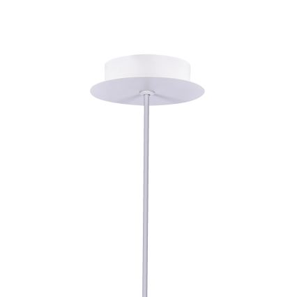 Светодиодная люстра на тросе MODENA LED/5W/230V