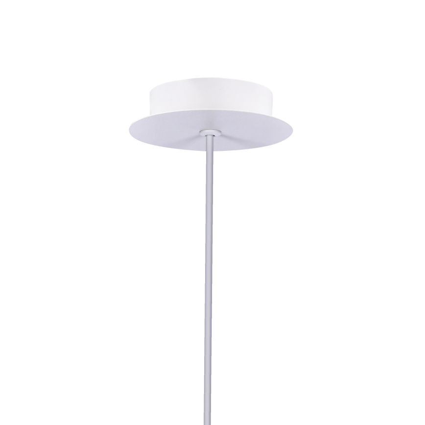Светодиодная люстра на тросе MODENA LED/5W/230V