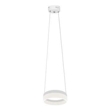 Светодиодная люстра на тросе RING LED/12W/230V