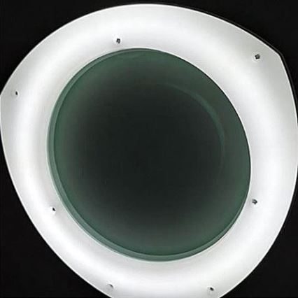 Светодиодная настольная лампа с лупой, зажимом и регулированием яркости LED/8W/12/230V