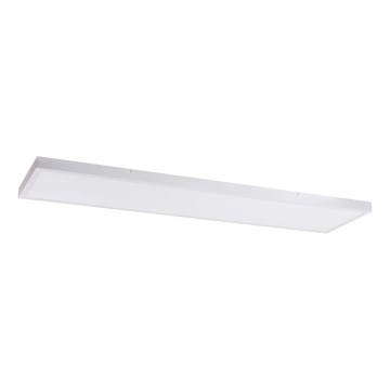 Светодиодная панель LED/60W/230V 4000K 30x120 см белый