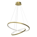 Светодиодная подвесная люстра HOOP LED/51W/230V диаметр 60 см 4000K золотистый