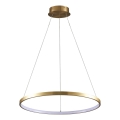 Светодиодная подвесная люстра LEA LED/20W/230V 4000K диаметр 50 см золотистый