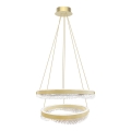 Светодиодная подвесная люстра LED/85W/230V диаметр 60 см золотистый