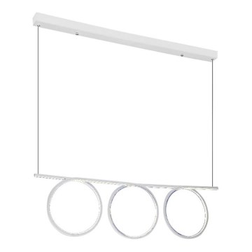 Светодиодная подвесная люстра LOOP 3xLED/20W/230V белая