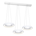 Светодиодная подвесная люстра RONDO 3xLED/12W/230V
